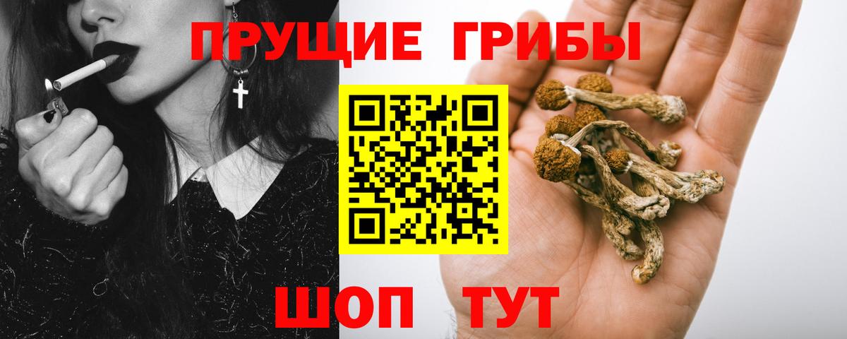 Галлюциногенные грибы ЛСД  Вход с VPN  Углич  Псилоцибиновые грибы мицелий 